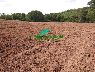 Fazenda para Venda, em Caldas Novas, bairro Rural, 5 dormitrios, 4 banheiros, 2 sutes