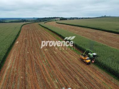 Fazenda para Venda, em Presidente Prudente, bairro Centro