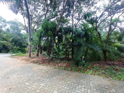 Terreno para Venda, em Mata de So Joo, bairro Praia do Forte