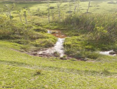 rea Rural para Venda, em Cunha, bairro Gndara