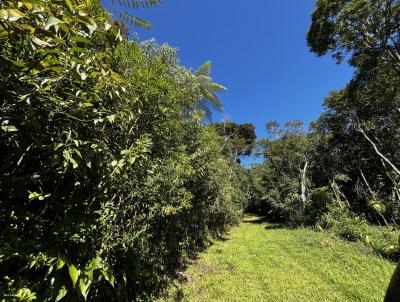 Terreno para Venda, em Juquitiba, bairro Centro