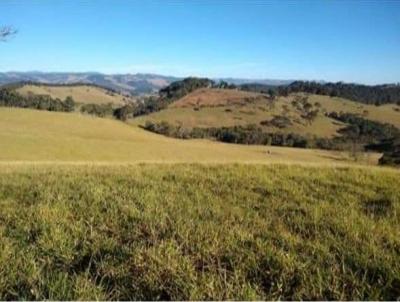 Fazenda para Venda, em Camanducaia, bairro Bairro da Ponte