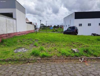 Terreno para Venda, em Iara, bairro poo 3