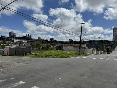 Terreno para Venda, em Campina Grande, bairro ALTO BRANCO