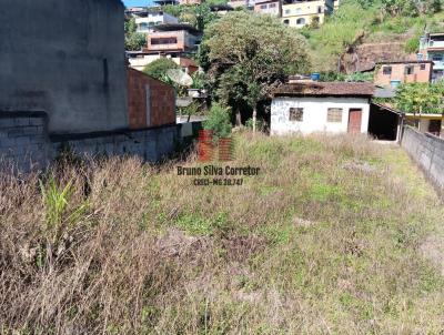Terreno para Venda, em Juiz de Fora, bairro Filgueiras