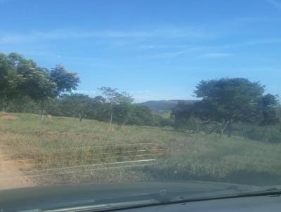 Fazenda para Venda, em So Tiago, bairro Capelinha