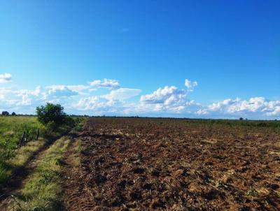 Fazenda para Venda, em Ribeiro Cascalheira, bairro Rural