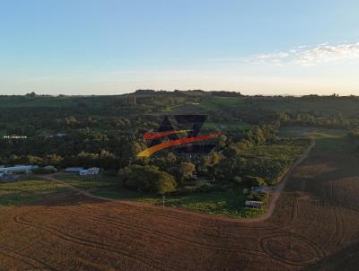 Chcara para Venda, em Enas Marques, bairro rea Rural