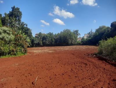 Terreno para Venda, em Londrina, bairro Jardim Burle Marx