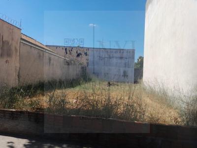 Terreno para Venda, em Araatuba, bairro CONCORDIA II