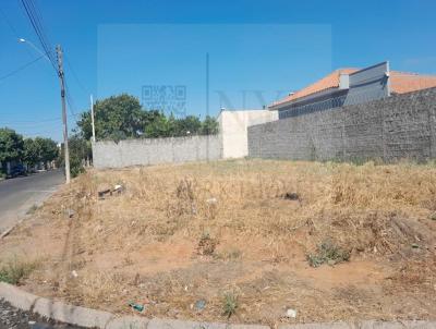 Terreno para Venda, em Araatuba, bairro CONCRDIA III