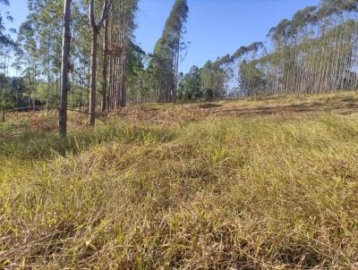 Terreno para Venda, em Coronel Xavier Chaves, bairro rea Rural