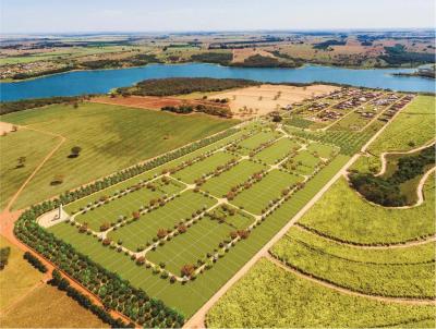 Terreno para Venda, em Mendona, bairro Parque Bora I