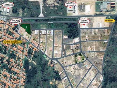 Área para Venda, em Floriano, bairro BOM LUGAR