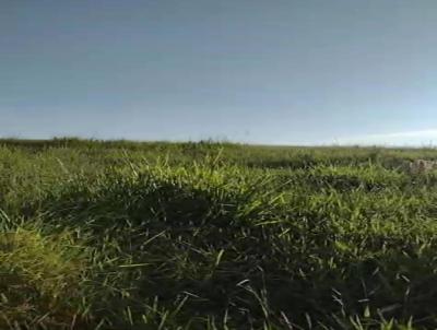 Fazenda para Venda, em Ribeiro do Pinhal, bairro centro