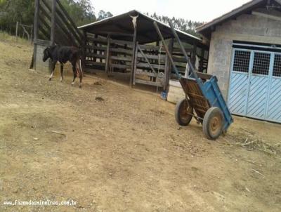 Terreno para Venda, em Curvelo, bairro Zona Rural