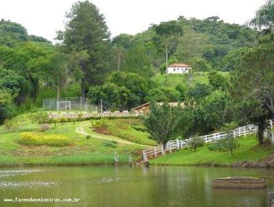 Terreno para Venda, em Bom Sucesso, bairro FAZENDA DE CAFS ESPECIAIS