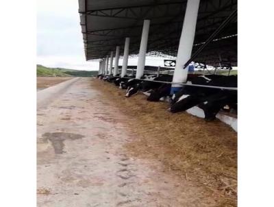 Terreno para Venda, em Barbacena, bairro rea Rural de Barbacena