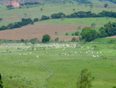 Terreno para Venda, em So Tiago, bairro Zona Rural