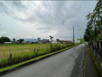 Terreno para Venda, em Indaial, bairro Centro