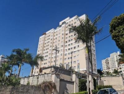 Apartamento para Venda, em Campinas, bairro Jardim Nova Europa, 2 dormitrios, 1 banheiro