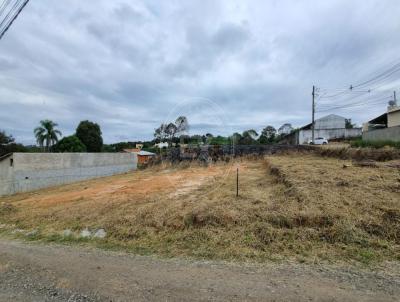 Terreno para Venda, em Iper, bairro Santo Antnio