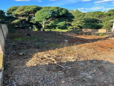 Terreno para Venda, em Campos Novos, bairro Nossa Senhora de Lourdes