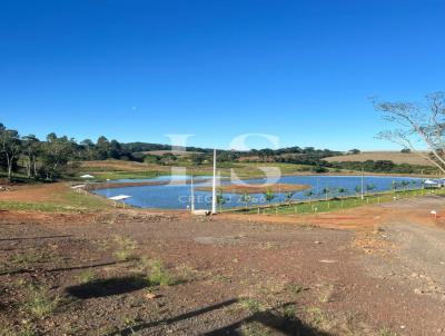 rea Rural para Venda, em Guarapuava, bairro Palmeirinha