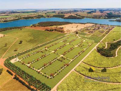 Terreno para Venda, em Mendona, bairro Parque Bora II