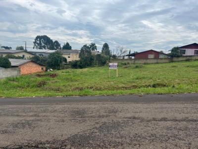 Terreno para Venda, em Campos Novos, bairro Bairro Jardim Bela Vista