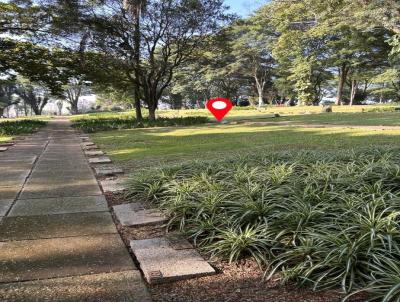 Terreno Comercial para Venda, em So Paulo, bairro Jardim Cabor