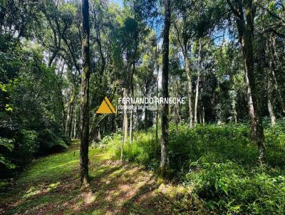 Terreno para Venda, em Nova Petrpolis, bairro Linha Imperial