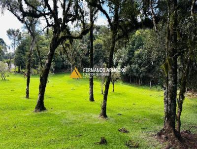 Stio / Chcara para Venda, em Canela, bairro Vila Mina