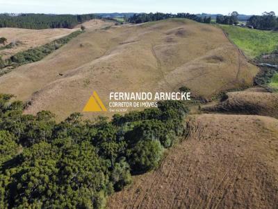 Stio / Chcara para Venda, em So Francisco de Paula, bairro Zona Rural