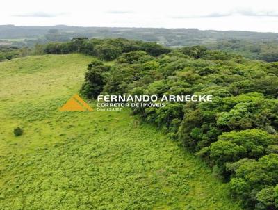 Stio / Chcara para Venda, em Santa Maria do Herval, bairro Zona Rural