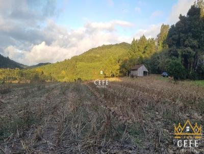 Stio / Chcara para Venda, em Santa Maria do Herval, bairro Padre Eterno Baixo