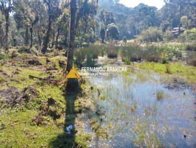 Stio / Chcara para Venda, em So Francisco de Paula, bairro Ribeiro