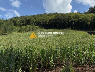 Stio / Chcara para Venda, em Gramado, bairro Linha vila