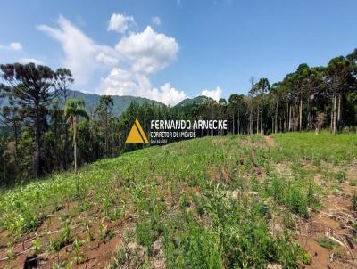 Stio / Chcara para Venda, em So Francisco de Paula, bairro Samambaia