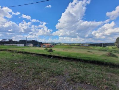 Terreno para Venda, em Campos Novos, bairro bairro Aparecida