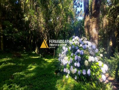 Stio / Chcara para Venda, em So Francisco de Paula, bairro Carapina