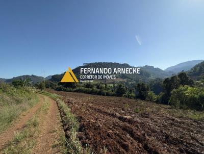 Stio / Chcara para Venda, em Santa Maria do Herval, bairro Linha Marcondes