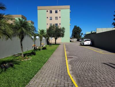 imagem-miniatura