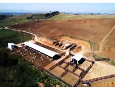 Fazenda para Venda, em So Jos dos Campos, bairro Centro