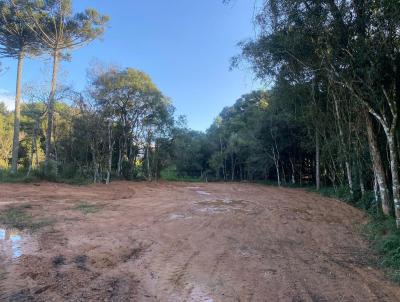 Terreno para Venda, em So Jos dos Pinhais, bairro Borda do Campo