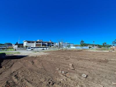 Terreno para Venda, em Caxias do Sul, bairro Parque Osis