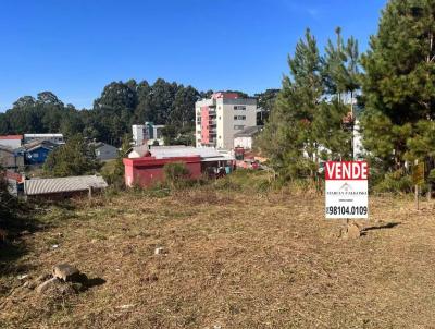 Terreno para Venda, em Caxias do Sul, bairro Desvio Rizzo