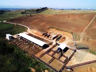 Fazenda para Venda, em Caapava, bairro Centro