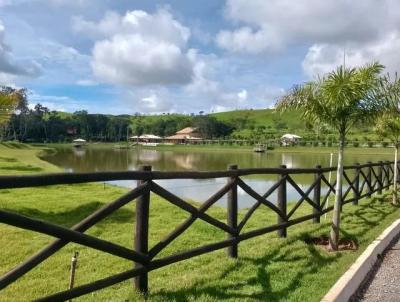 Fazenda para Venda, em Pirenpolis, bairro Pirenpolis