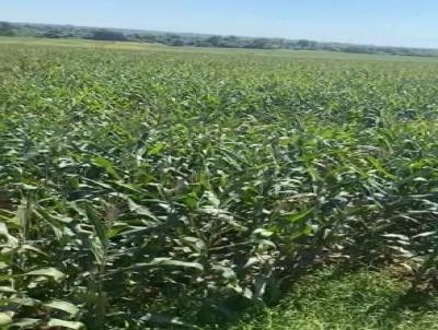 Fazenda para Venda, em Mara Rosa, bairro ZONA RURAL